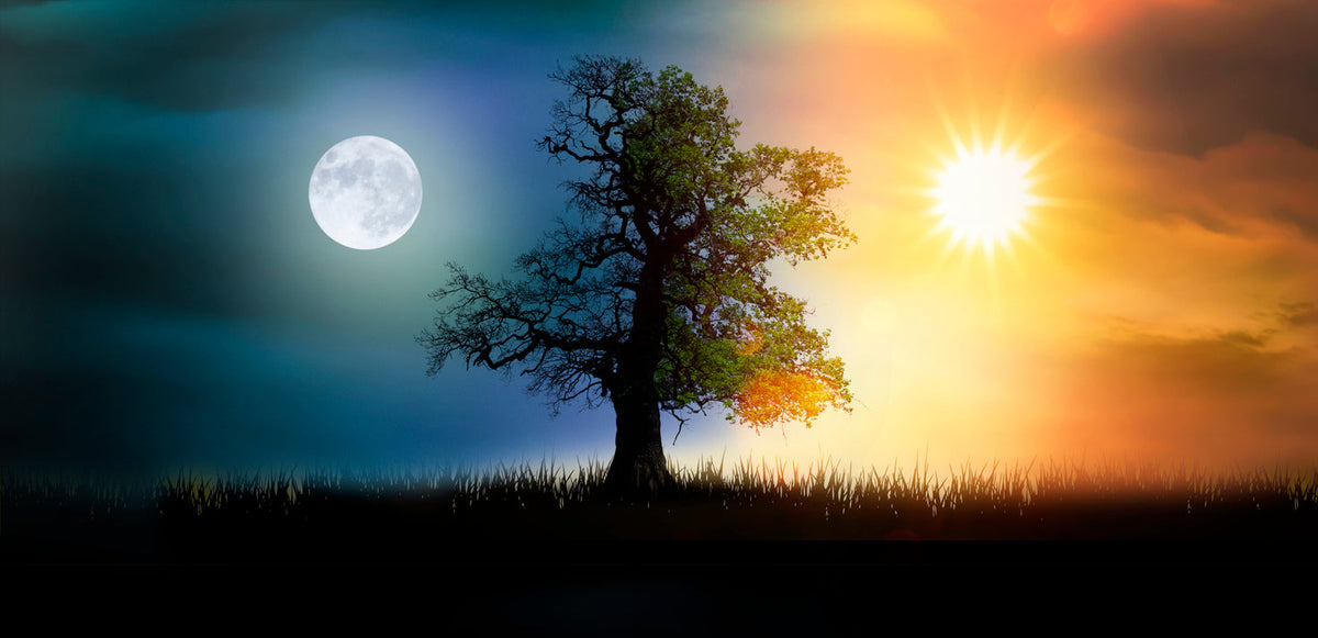 Do You Have a Darkness Deficiency? Take Our Circadian Quiz