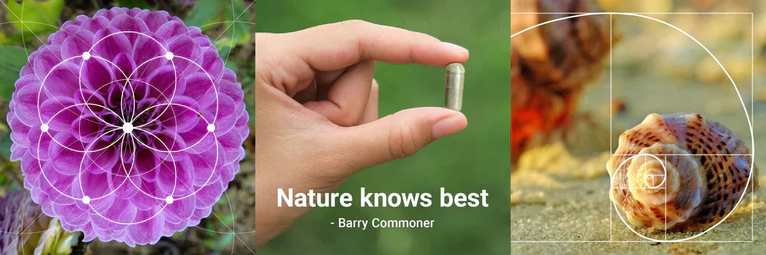 Plant Melatonin vs Synthetic Melatonin:  Why Nature Knows Best