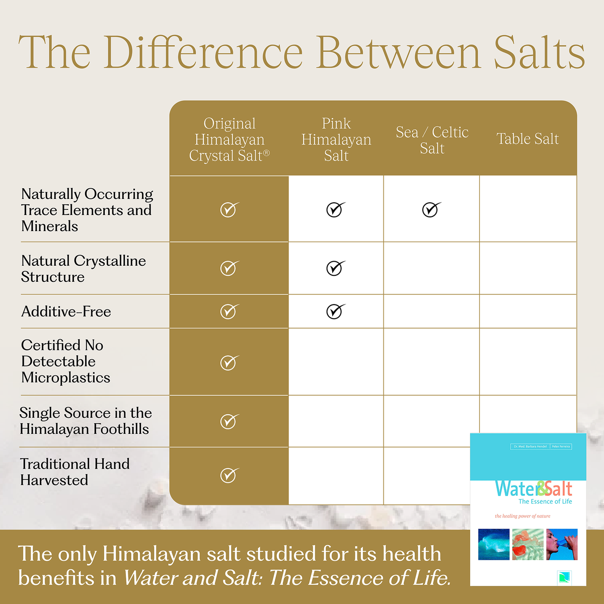 Fine Granulated Culinary Salt + Salt Shaker