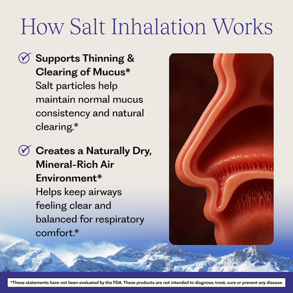 Original Himalayan Crystal Salt Inhaler