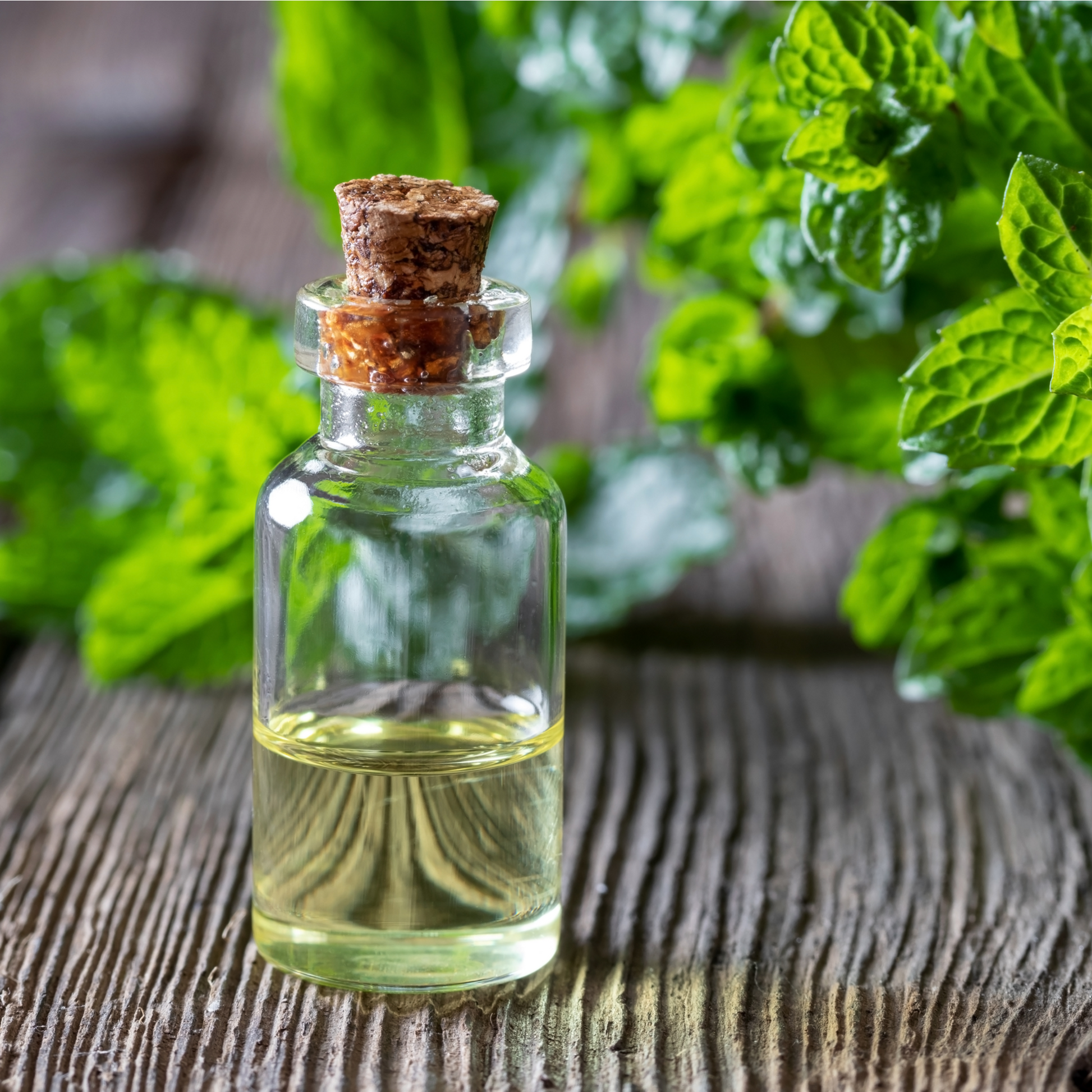 Peppermint Essential Oil for Himalayan Bath Salts