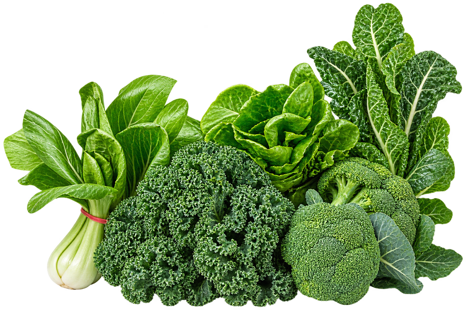 Simplified Daily Greens Support with Concentrated Alfalfa*