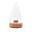 Fine Salt Shaker pointed cylindrical clear glass shaker with cork base, on white background