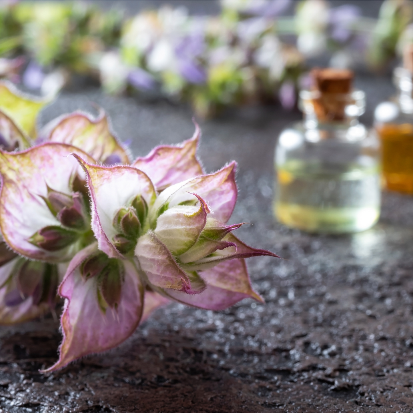 Menopause Bath Salts glass bottle with cork stopper filled with oil, and clary sage flower next to it, on wood surface