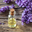 Menopause Bath Salts glass bottle with cork stopper filled with oil, and purple flowers next to it, on wood surface