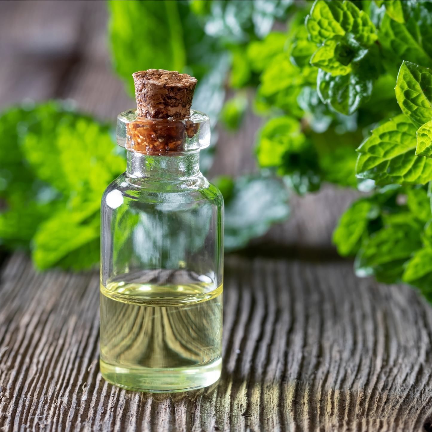 Rejuvenate Bath Salts glass bottle with cork stopper filled with oil, and peppermint leaves next to it, on wood surface