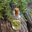 Detox Bath Salts glass bottle with cork stopper filled with oil, and evergreen sprigs next to it, on dark wood surface
