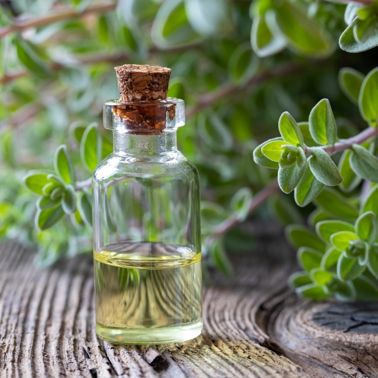 PMS Bath Salts glass bottle with cork stopper filled with oil, and marjoram sprigs next to it, on wood surface